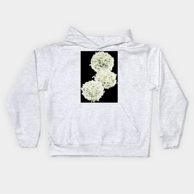 Resting T lymphocytes, SEM (C038/8368) Kids Hoodie by SciencePhoto